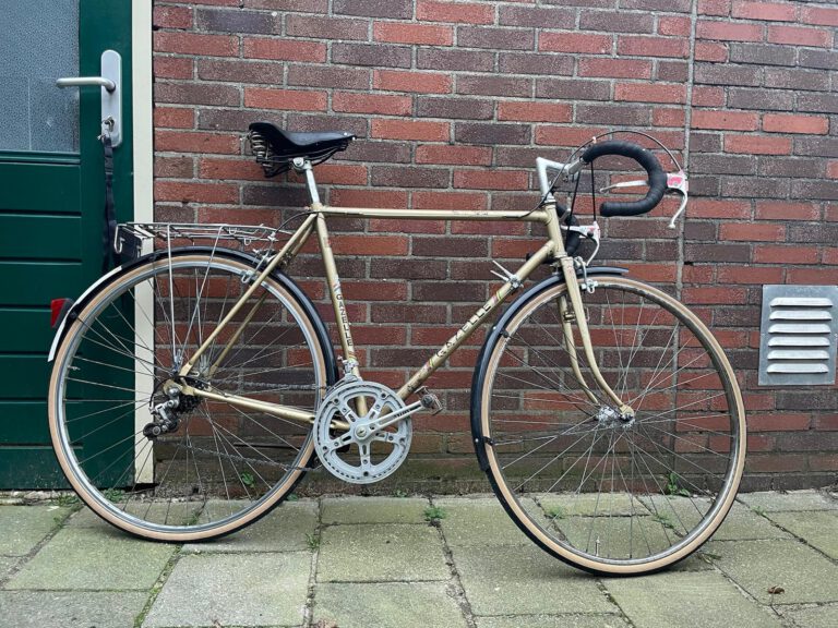 gazelle1